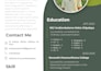 design modern uiux layouts, resume design